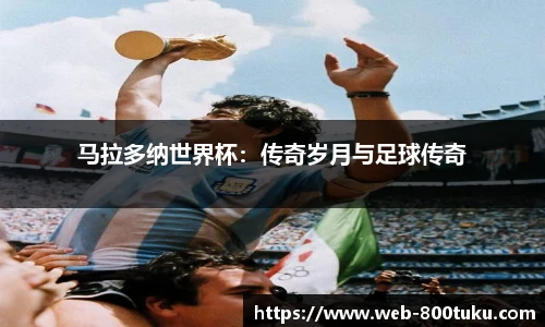 800图库