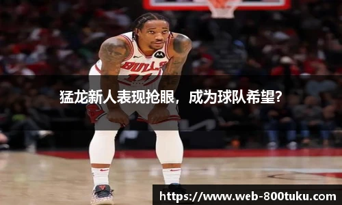 猛龙新人表现抢眼，成为球队希望？
