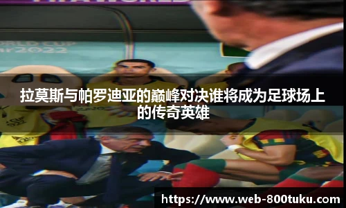 800图库
