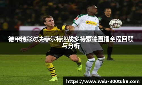 德甲精彩对决菲尔特迎战多特蒙德直播全程回顾与分析
